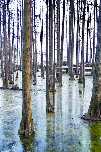 �c(di��n)������D