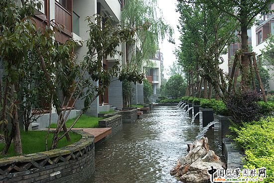 ���ݱ�Ԫ�ɵ�