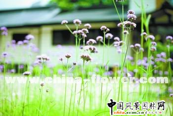 ���~�R�޲��_����Ȼ�������L��