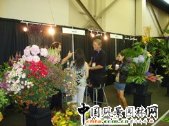 ������������չ�F��