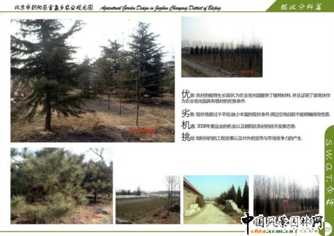 S.W.O.T.����