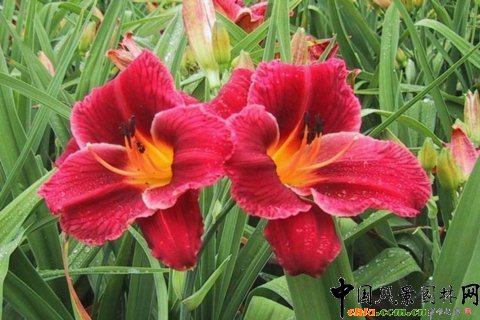 �Ї�(gu��)�ġ�ĸ�H���������(�D)