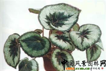 �^�~�ﺣ������Ҫ�c(�D)