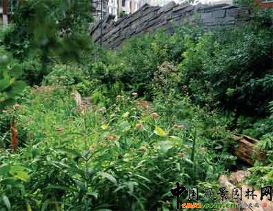 2009ASLA綜合設計類榮譽獎：淚珠公園