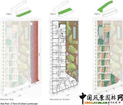 2009ASLA綜合設(shè)計類榮譽獎--麥卡倫公寓樓