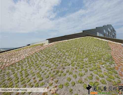 2009ASLA綜合設(shè)計(jì)類榮譽(yù)獎(jiǎng)--麥卡倫公寓樓