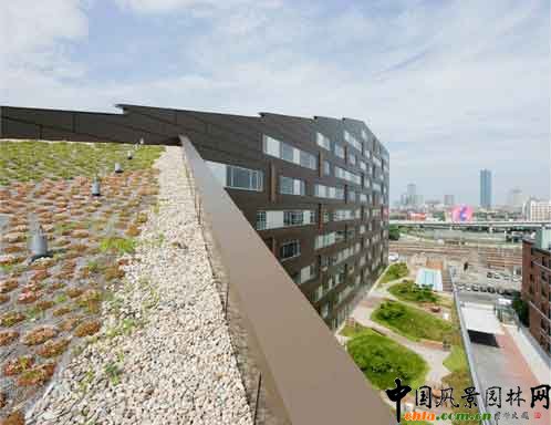 2009ASLA綜合設(shè)計(jì)類榮譽(yù)獎(jiǎng)--麥卡倫公寓樓