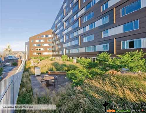 2009ASLA綜合設(shè)計(jì)類榮譽(yù)獎(jiǎng)--麥卡倫公寓樓