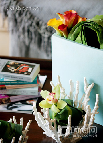 ���߽����Ą��⻨ˇ(��)