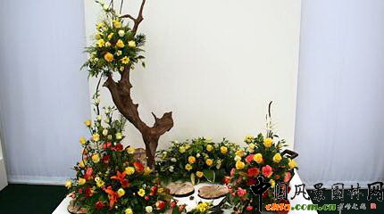 2009���Р�����չ֮��ˇ�OӋչ(�M�D)