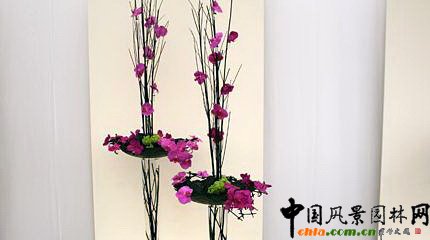 2009���Р�����չ֮��ˇ�OӋչ(�M�D)