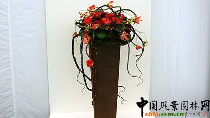 2009���Р�����չ֮��ˇ�OӋչ(�M�D)