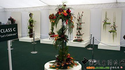 2009���Р�����չ֮��ˇ�OӋչ(�M�D)