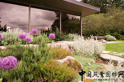 2009ASLA居住區設計類榮譽獎：山頂住宅