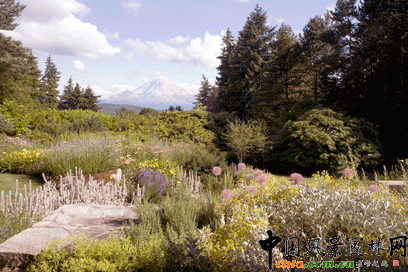 2009ASLA居住區設計類榮譽獎：山頂住宅