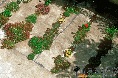 2009ASLA居住區(qū)設(shè)計(jì)類榮譽(yù)獎(jiǎng)：裂縫花園