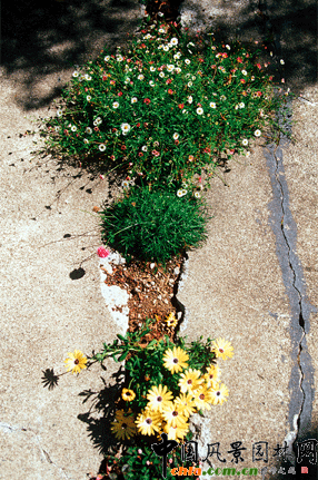 2009ASLA��ס�^�OӋs�u�����ѿp���@