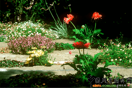 2009ASLA居住區設計類榮譽獎：裂縫花園