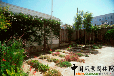 2009ASLA居住區設計類榮譽獎：裂縫花園