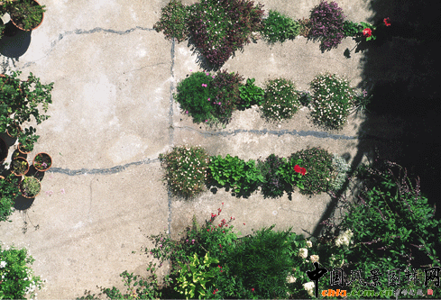 2009ASLA居住區設計類榮譽獎：裂縫花園