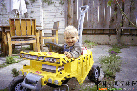 2009ASLA居住區設計類榮譽獎：裂縫花園
