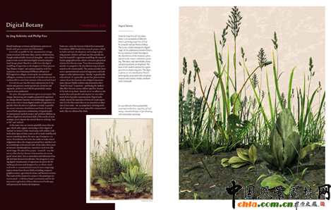 2009ASLA交流獎：《JoLA》