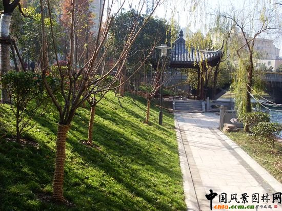 �����б����R�I�G������