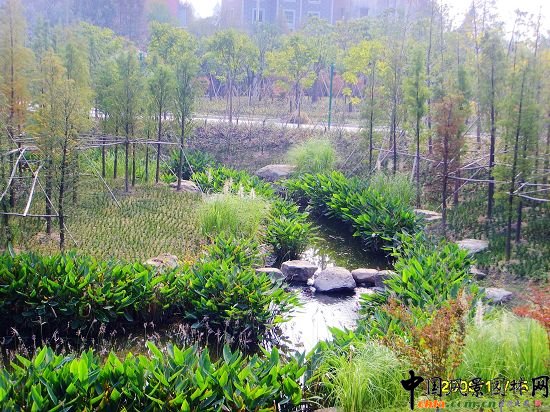 ���ݺ����ۃɰ����ξG�����^