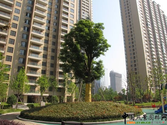 �����L���X�����o���@���ھG������