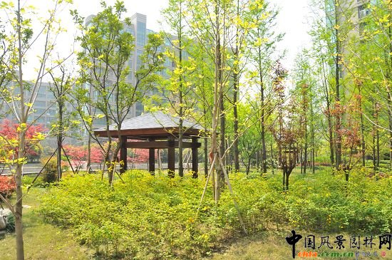 ����ͬ�ˡ������r�����^�G������