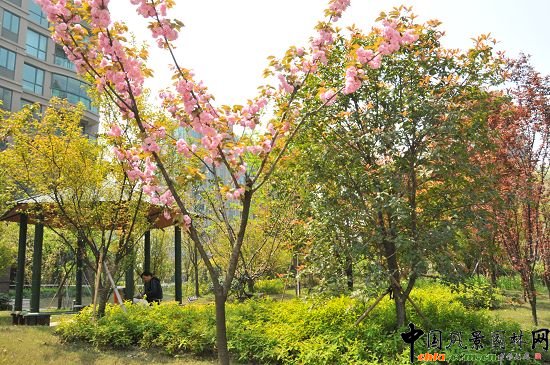 ����ͬ�ˡ������r�����^�G������