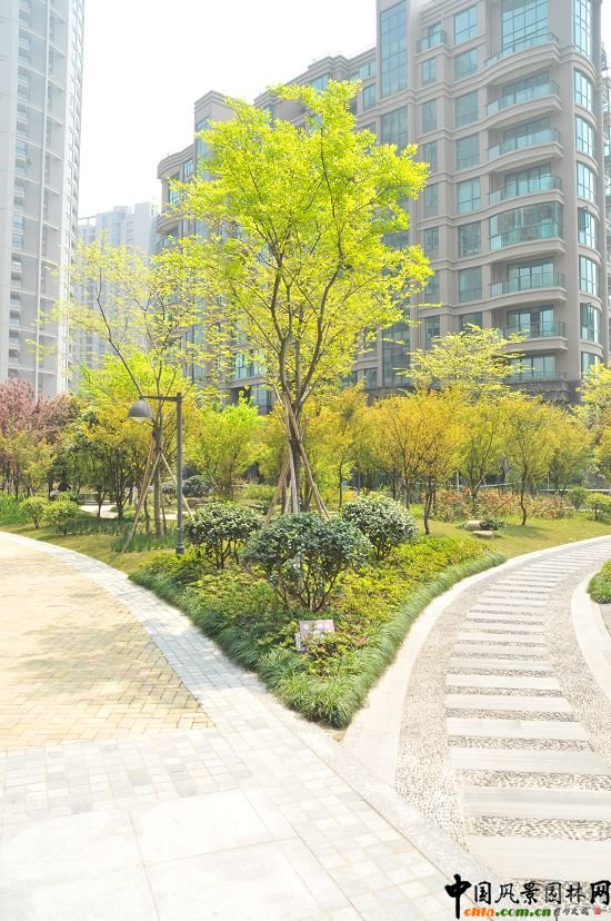 ����ͬ�ˡ������r�����^�G������