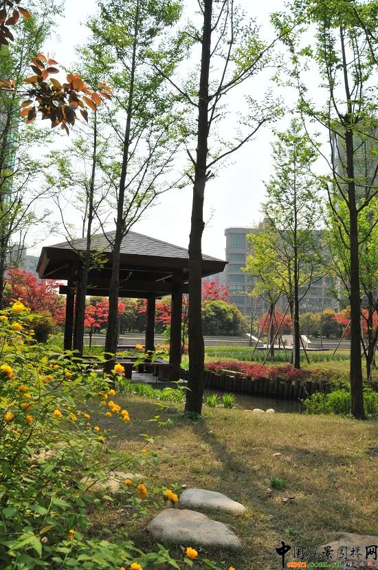 ����ͬ�ˡ������r�����^�G������