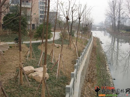 ����悖|�Ӿ��^����