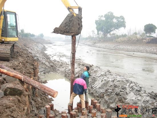 �����(zh��n)�|�Ӿ��^����