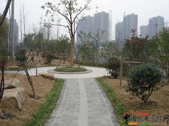 �����(zh��n)�|�Ӿ��^����