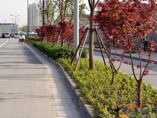 ���ݾ���·�G������