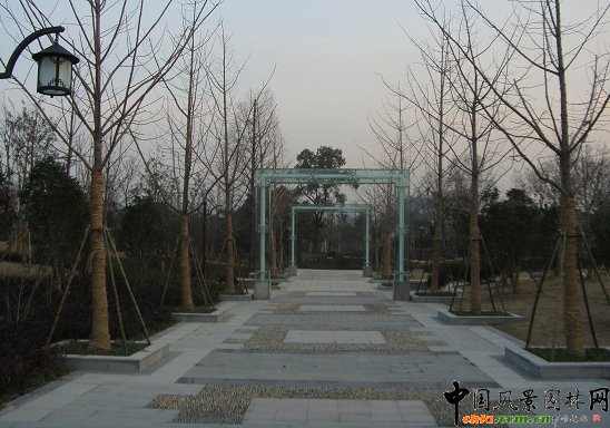 �����С�����G�����̡�