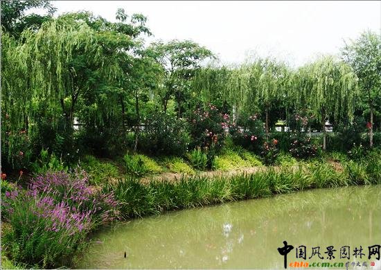 ���y�����@����ˮ��ֲ��