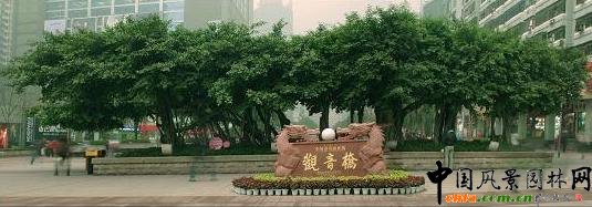 �ؑc�м��깫�@���ھ��^����