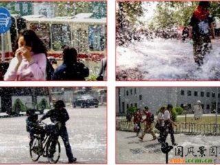 �����w����Ⱦ���Ƽ��g���_ʼ�ƏV����