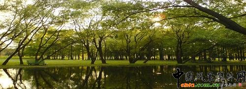 �Ϻ������ֹ��@