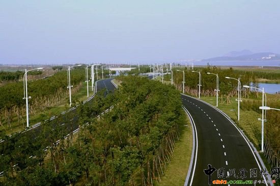 �����_�l�^�ؽ����