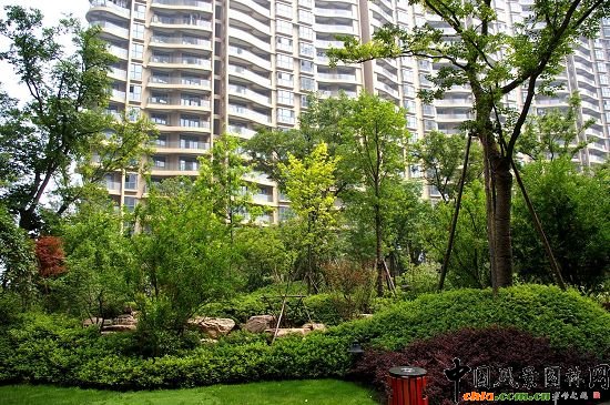 2008�꽻����סլС�^(q��)ʢ���X��