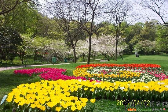 ̫�Ӟ����@