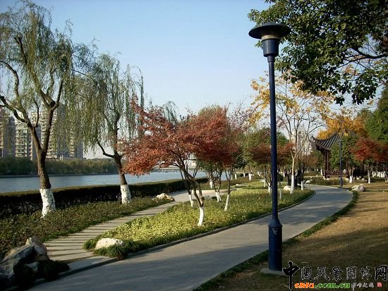 �Nɳ�ӾG������