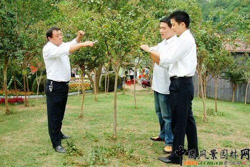 ��h���������͡��o�������I�@��