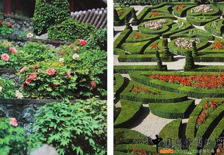 �@�ֵ�Ҏ(gu��)���t�෴���W�ވ@����Ҏ(gu��)���ģ��Ї��@���ǲ�Ҏ(gu��)���ġ�