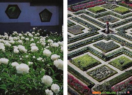 �@�ֵ�Ҏ(gu��)���t�෴���W�ވ@����Ҏ(gu��)���ģ��Ї��@���ǲ�Ҏ(gu��)���ġ�