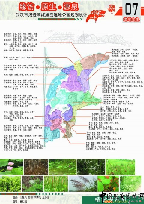 華中農大畢業生作品